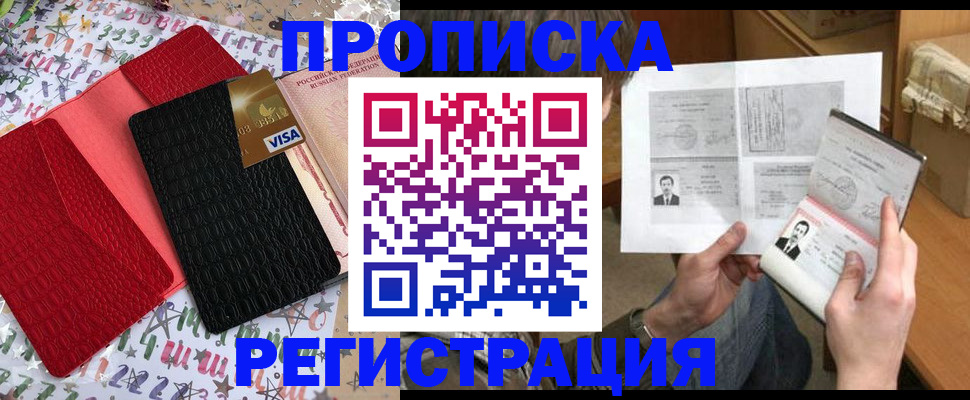 прописка поиск в Сольцах